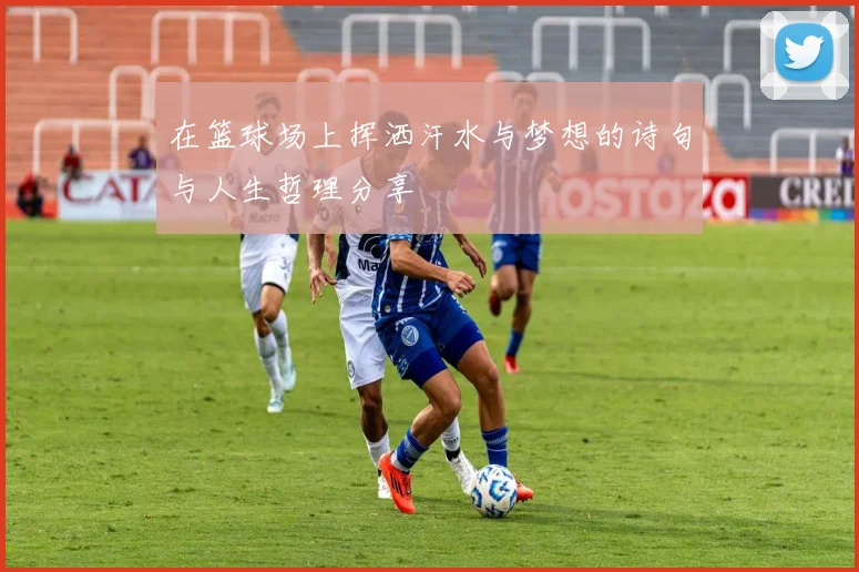 在篮球场上挥洒汗水与梦想的诗句与人生哲理分享