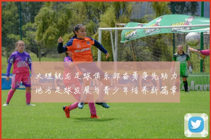 大理锐龙足球俱乐部奋勇争先助力地方足球发展与青少年培养新篇章
