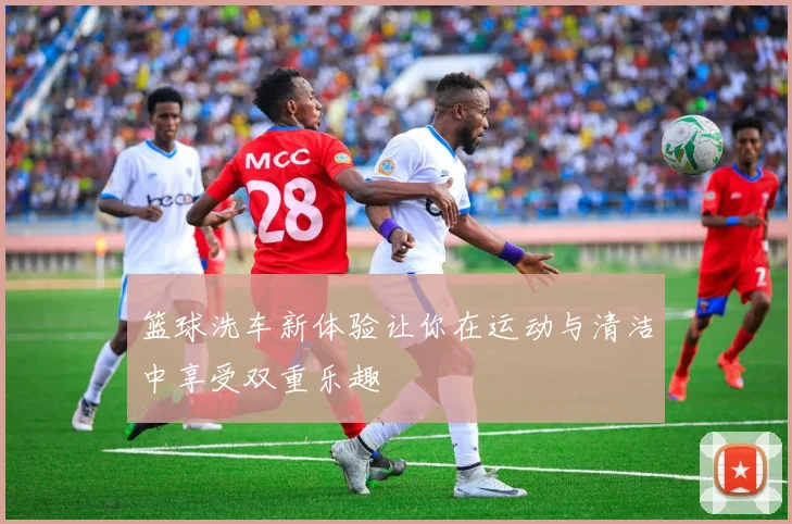 篮球洗车新体验让你在运动与清洁中享受双重乐趣