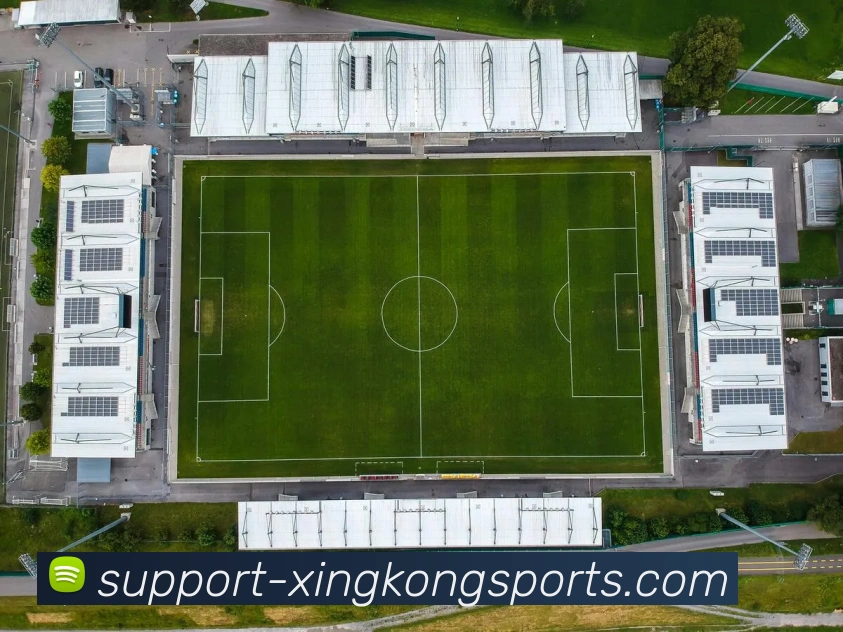 多媒体互动体验